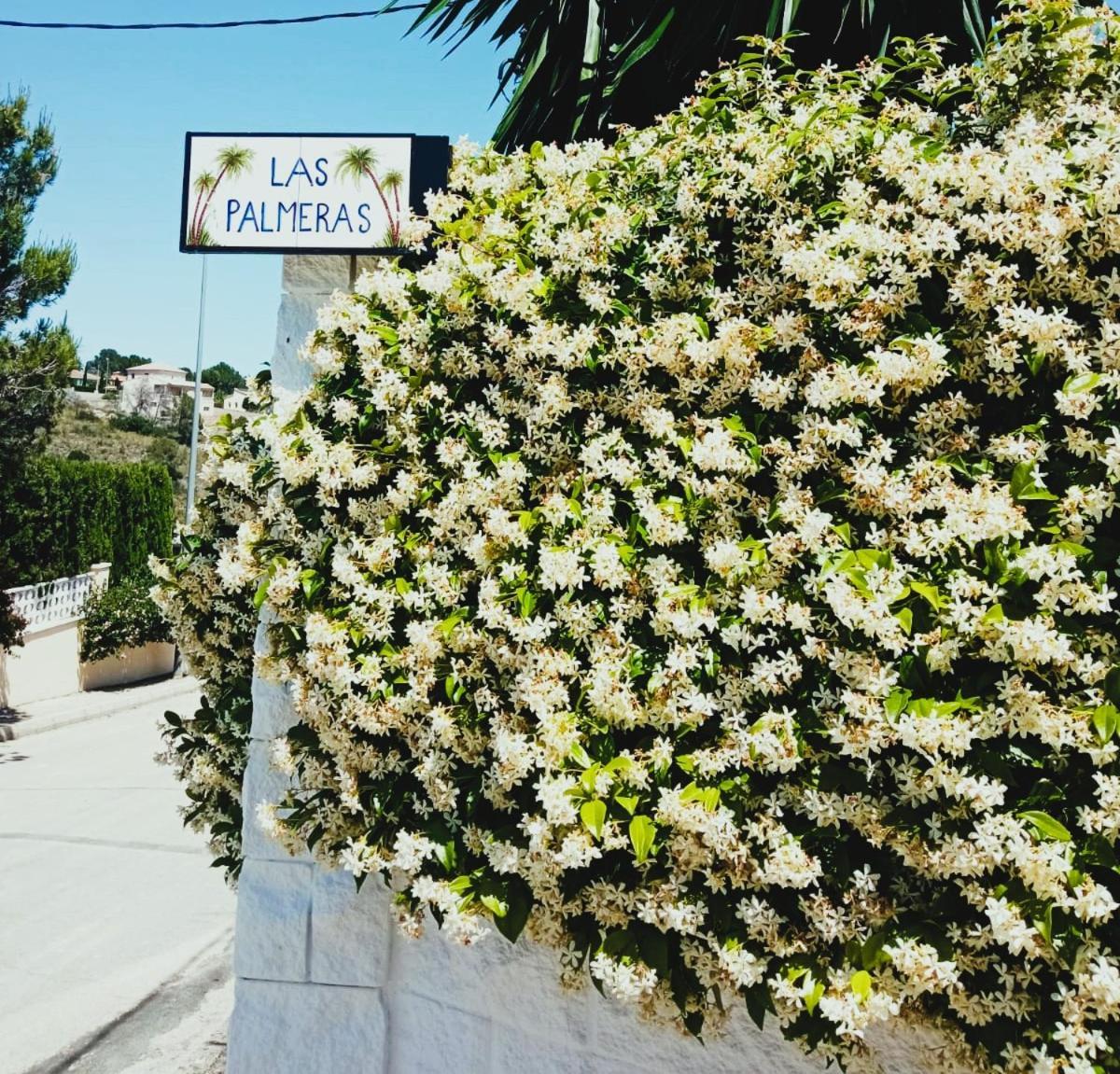 Las Palmeras Alberic 外观 照片